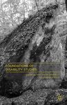 Foundations of Disability Studies by Matthew Wappett and Katrina Arndt